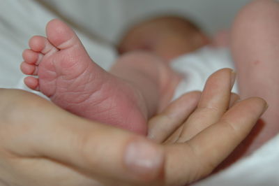 Close-up of baby holding hands