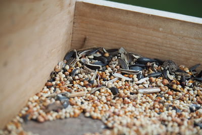 High angle view of shells on table