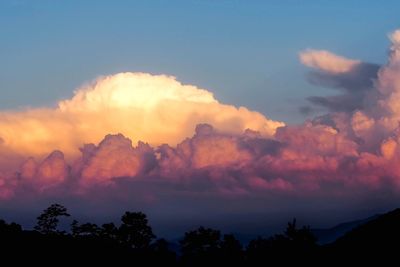 Low angle view of silhouette trees against sky