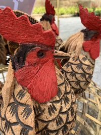 Close-up of a bird in basket