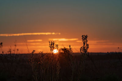 Scenic view of sunset