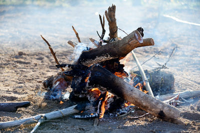 Flames and smoke from burning wood to prevent the cold in rural thailand