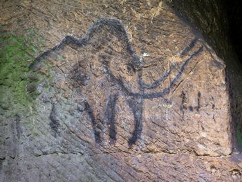 High angle view of text on tree trunk