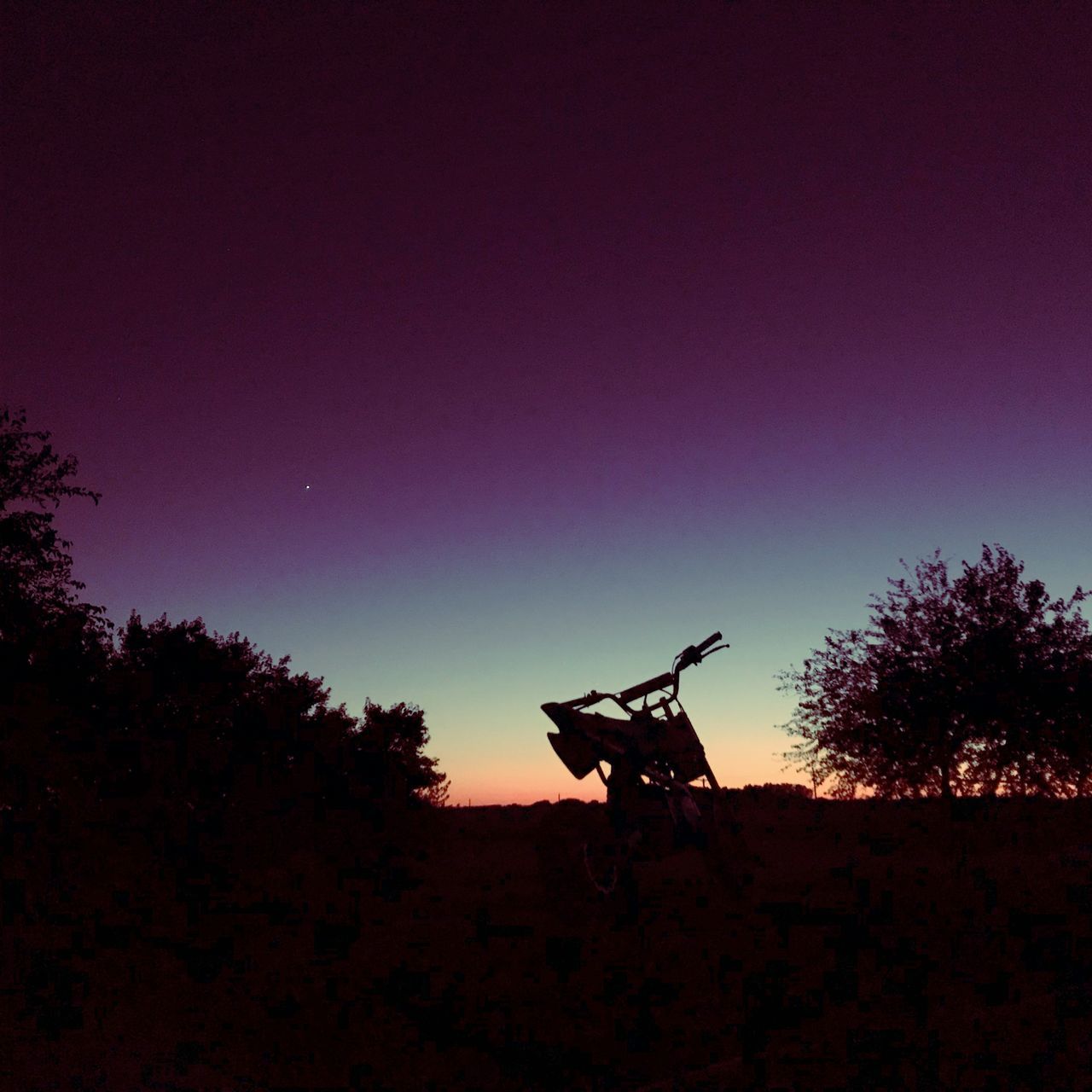 LOW ANGLE VIEW OF SILHOUETTE TREES AGAINST SKY AT SUNSET