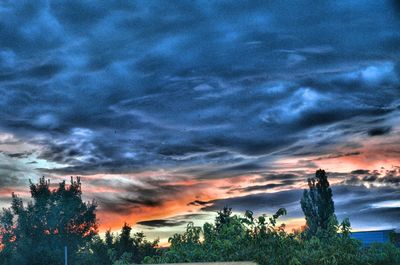 Low angle view of trees against dramatic sky