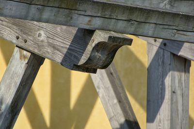 Low angle view of wood