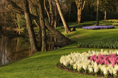 Scenic view of grassy landscape