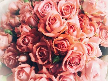 Full frame shot of roses