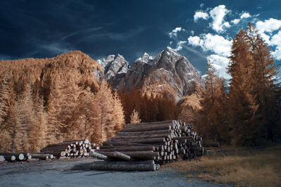 Stack of logs in forest against sky