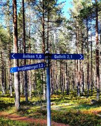 Information sign on tree trunk in forest