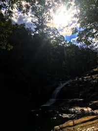 River amidst trees in forest against sky