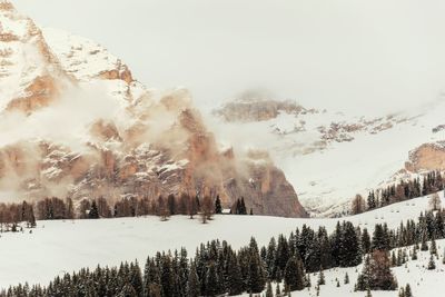 Panoramic view of pine trees on snow covered mountain against sky