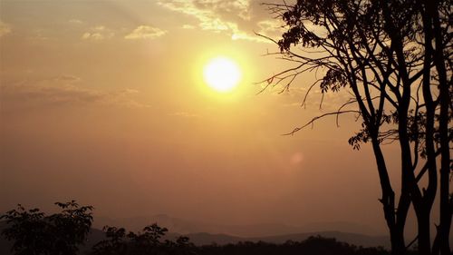 Silhouette trees against sky during sunset