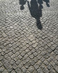 Low section of man on cobblestone street