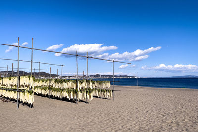 Scenic view of beach against blue sky