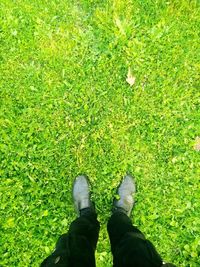 Low section of man standing on field