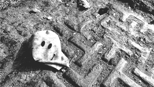 Close-up of person on sand at beach