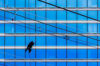 Low angle view of bird perching on blue sky