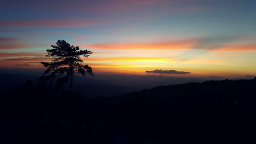 Silhouette trees on landscape against sky at sunset