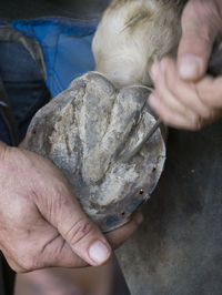 Close-up of man hand holding rock