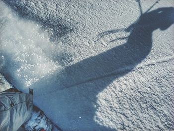 shadow