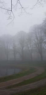 Bare trees on field against sky