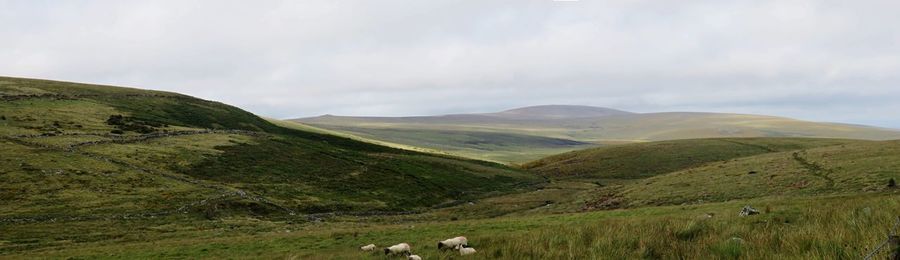 Scenic view of green landscape against sky