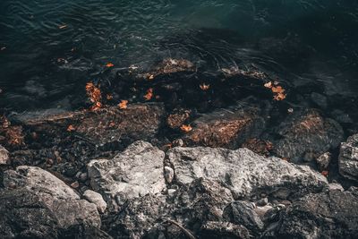 High angle view of rocks in water