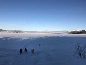 People on snowcapped mountain against sky