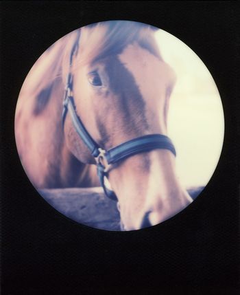 CLOSE-UP OF MAN WEARING BLACK BACKGROUND