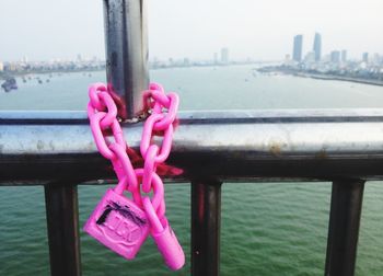 Close up of water lily