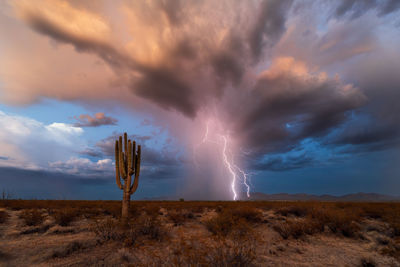 Lightning strikes the harquahala mountains during a monsoon storm in the sonoran desert.