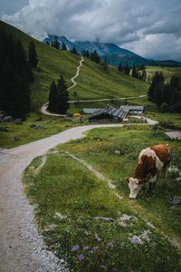 Scenic view of field against mountain