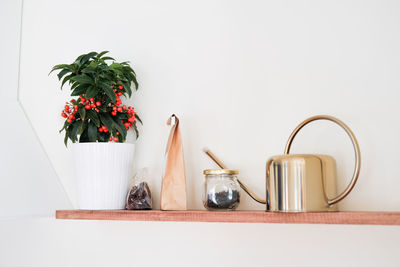 Potted plant on table against wall