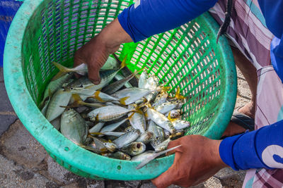 High angle view of hand holding fish