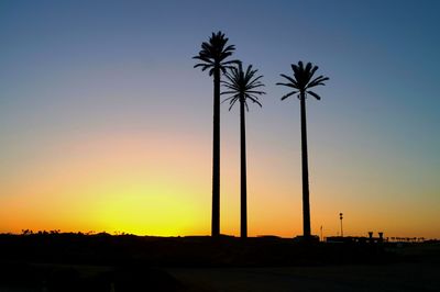 Silhouette palm trees on beach against sky at sunset