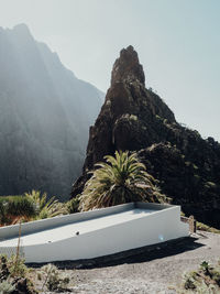 Palm trees by mountain against sky