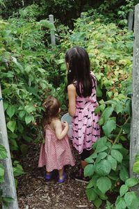 Rear view of siblings picking raspberries in yard