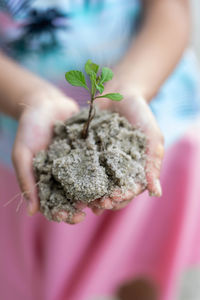 Close-up of hand holding plant