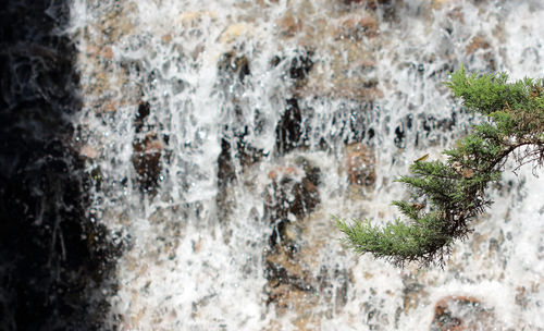 Close-up of frozen water