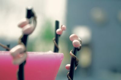 Close-up of girl playing