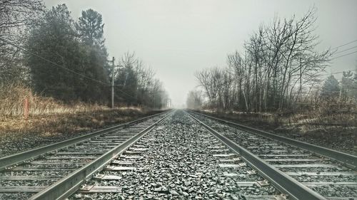 Railroad track along trees