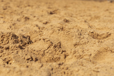soil