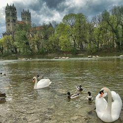 View of boats in water