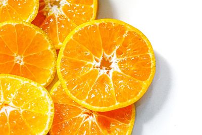 High angle view of orange fruit on white background