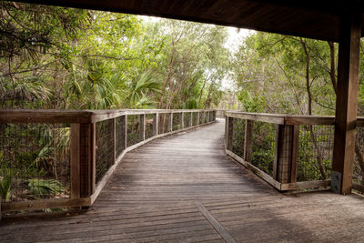 Footbridge amidst trees in forest