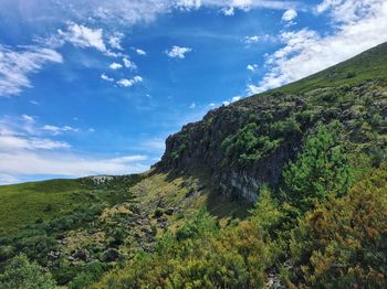 Scenic view of tree mountains against sky