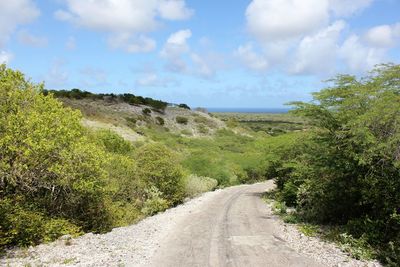 Road amidst plants against sky