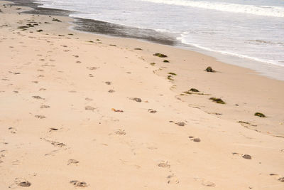 Close-up of sand on beach