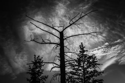 Low angle view of bare tree against cloudy sky